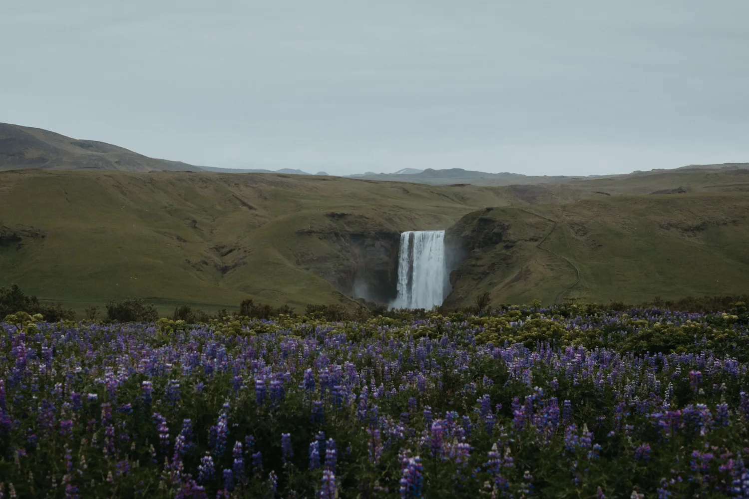 Icelandic Wedding Traditions, photography by Sharyn Hodges