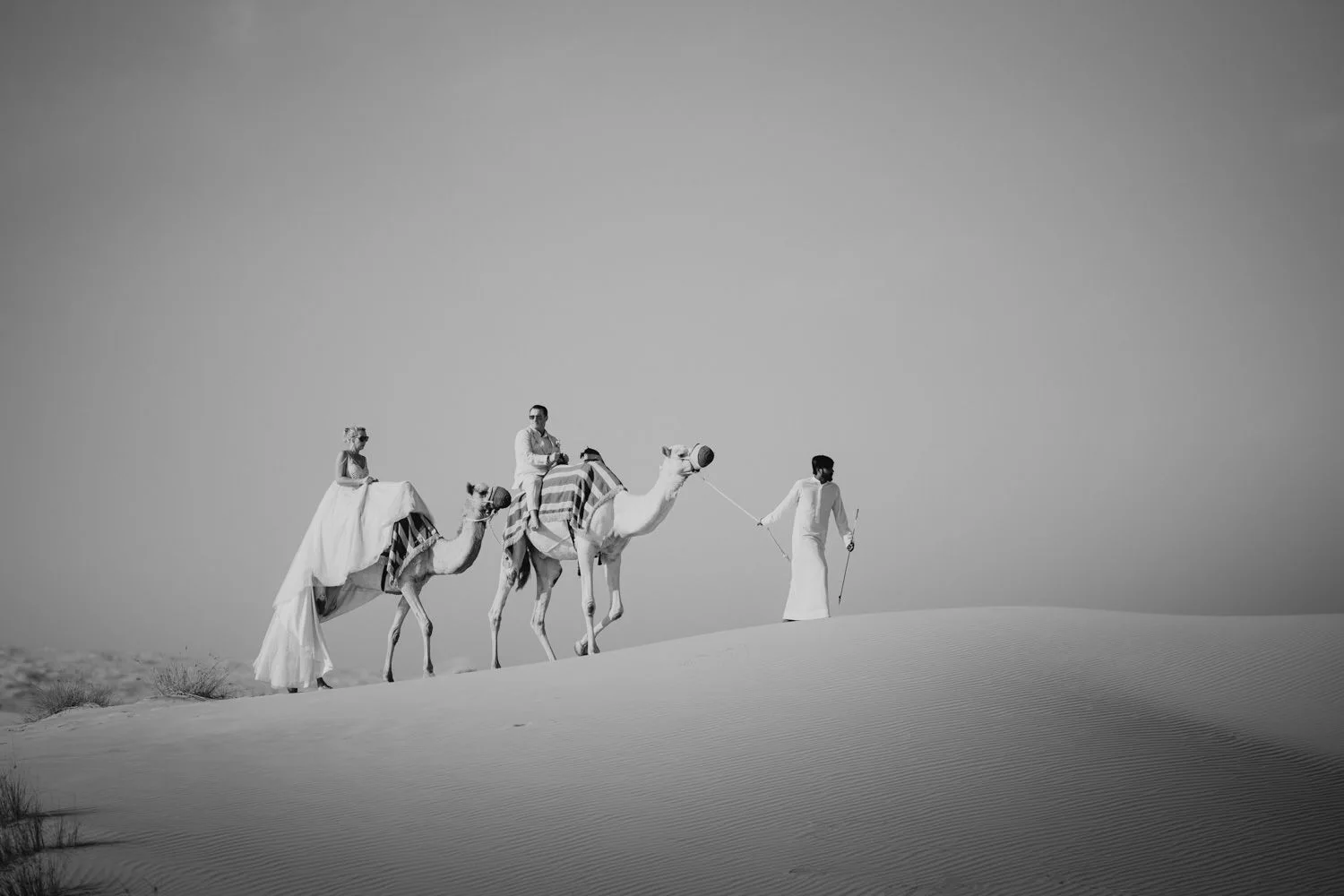 Liesel & Tim — photograph 8