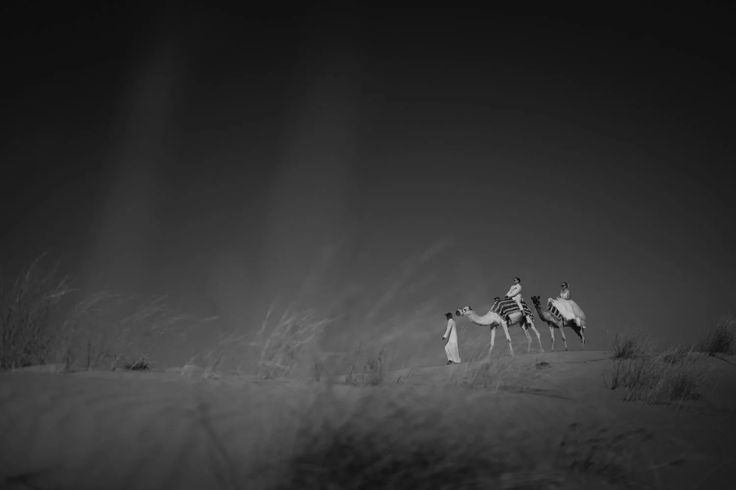 Liesel & Tim — photograph 23