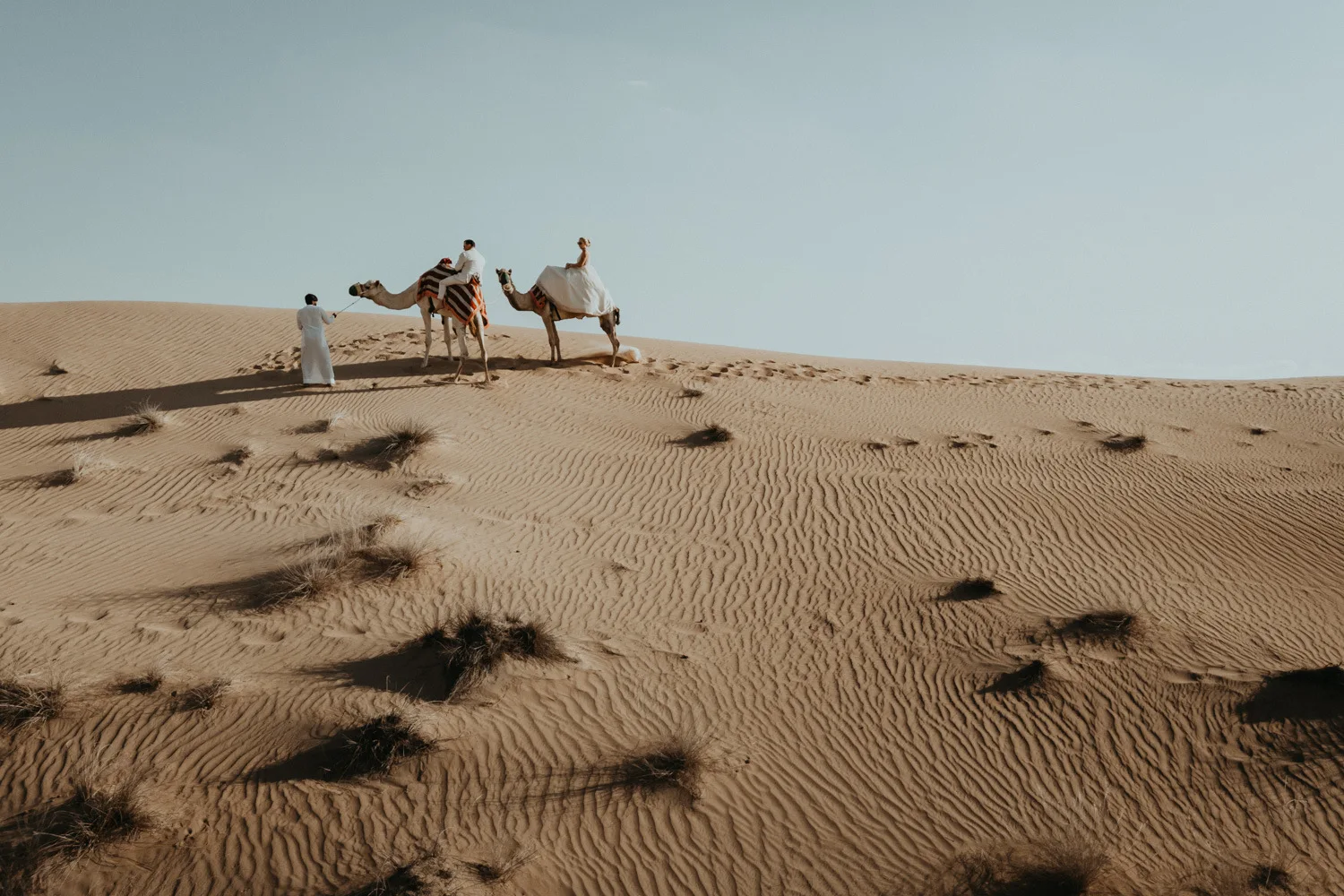 Liesel & Tim — photograph 11