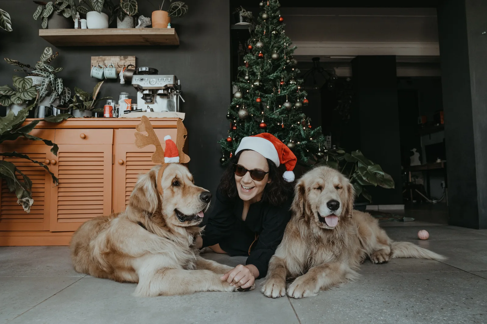 Sharyn celebrating Christmas with the dogs