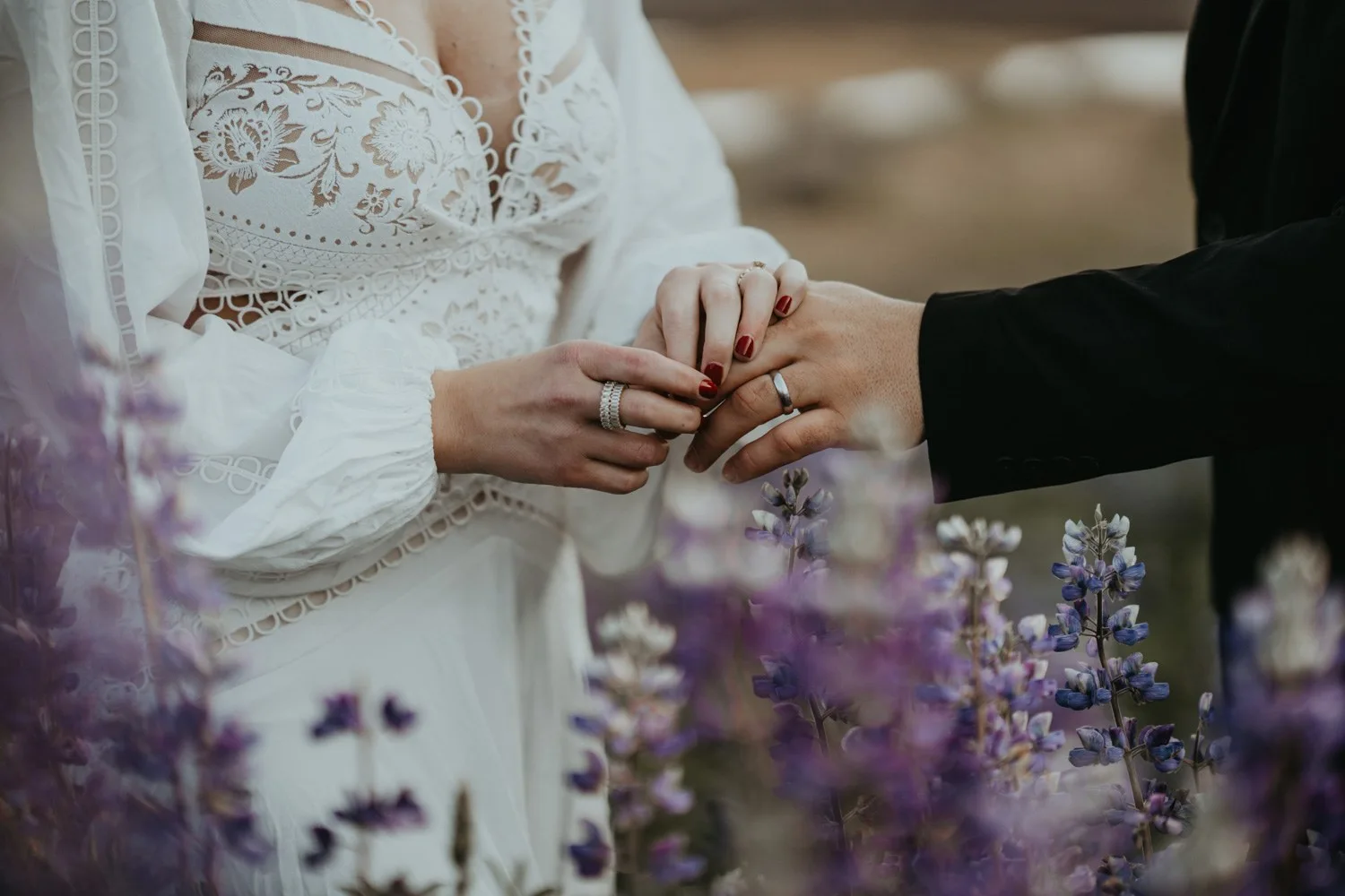 Chelsi & Josh — photograph 23