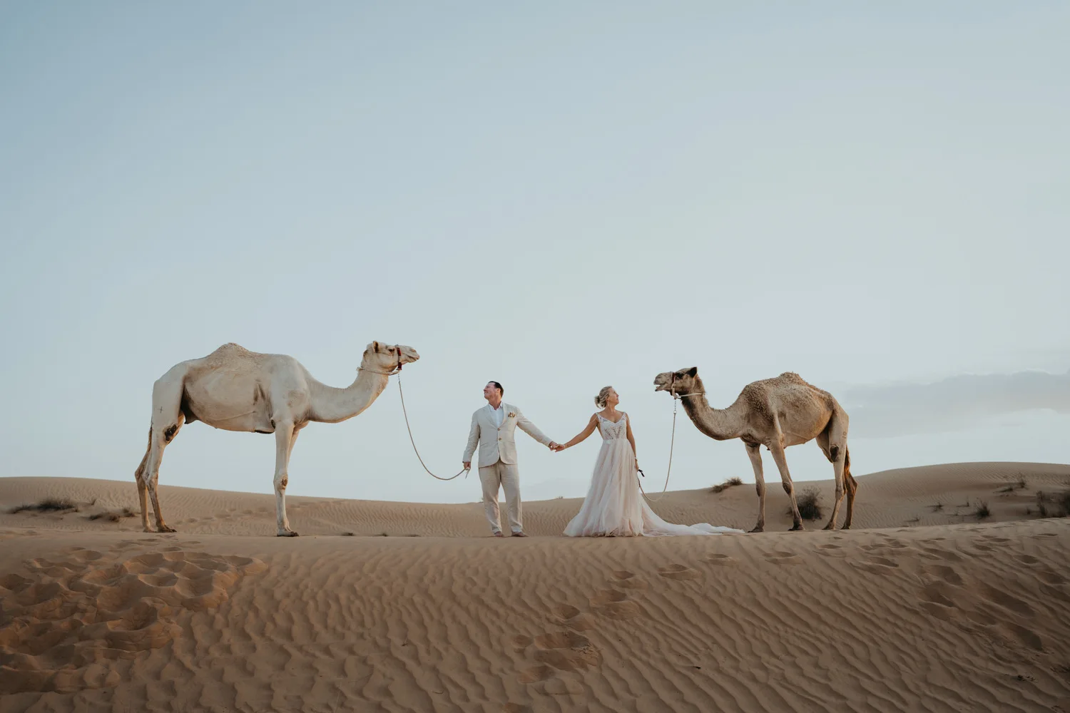 Liesel & Tim Dubai Camel Trash The Dress Shoot, photography by Sharyn Hodges